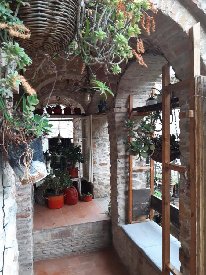 Locanda Del Capo Capannori Dış mekan fotoğraf